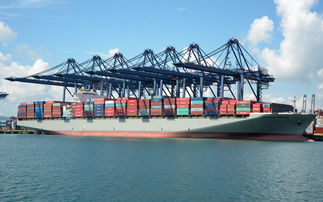 二、 特大尺寸货物：尺寸限制与运输平安