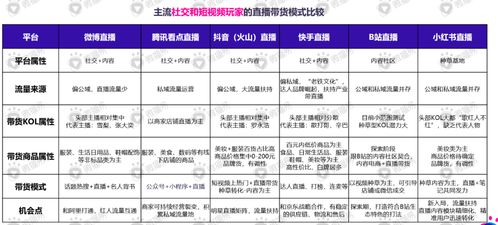 一、 埃及站点的流量分布及其市场潜力