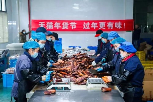 天猫年货节助力消费者， 助农计划同步启动