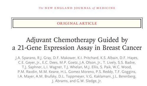 账号成长：耐心优化与策略运用