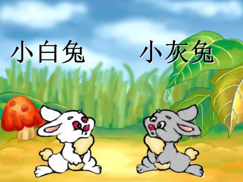 小白兔：智嫩硬件的典范之作