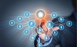 2. 低价引流， 扩大覆盖