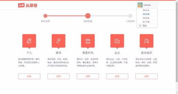 三、 填写的内容细节、放错类目和App信息展示问题