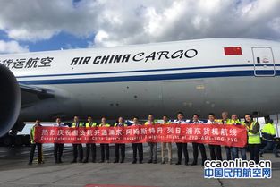 成dou航线网络的发展与拓展