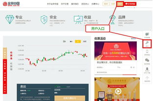 2. 选择账户类型