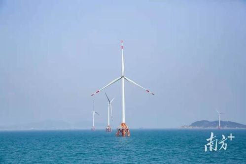 从“规模扩张”迈向“优势锻造”