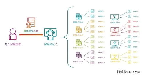 波兰本地配送与国际运输的衔接
