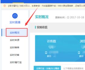 一、 淘宝实时访客其他来源概述
