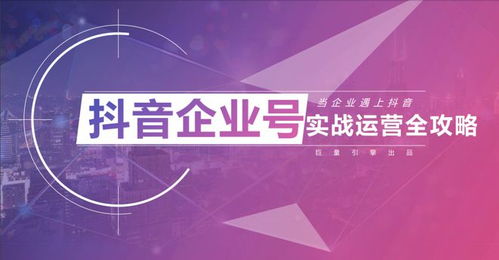 四、 运营策略与推广方案：助力企业品牌腾飞