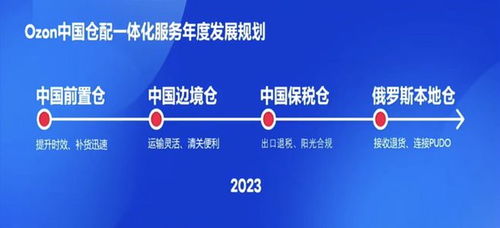 一、Ozon平台的物流选项