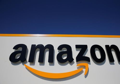 一、 亚马逊平台的全球影响力与消费者偏好