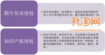 二、 专利侵权的主要表现形式及应对策略