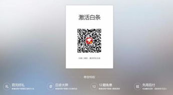 一、 开通京东白条的基本情况