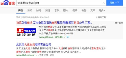 2. 输入查询信息