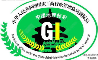 后续管理和维护工作的重要性