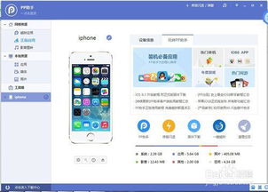 五、 直播技巧与注意事项