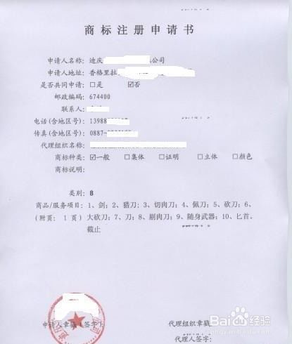 商标注册申请的提交与信息准确性