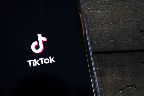 一、 TikTok品牌托管模式的背景与目标