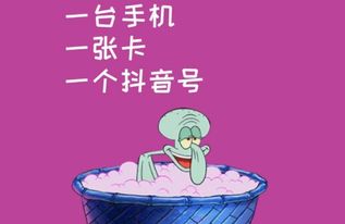 四、账号状态异常：关注账号动态