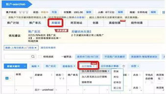 关键词出价与优化策略