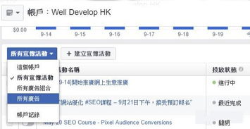 广告预算与策略规划