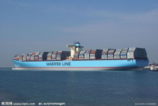 一、 集装箱柜号的基本结构（国际统一标准）