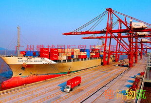 海关查验逻辑与货物属性间的紧密关联