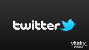 同过掌握Twitter广告开户的核心要求与运营技巧，跨境电商企业可快速建立高效的海外推广体系。