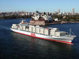 三、国际海运物流的注意事项