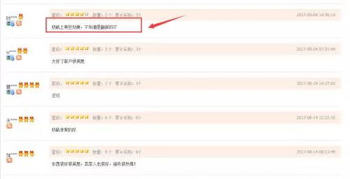 精准流量优化的策略
