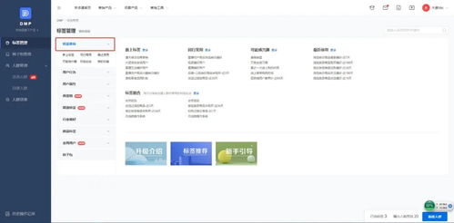 一、 京东快车广告投放的背景与现状