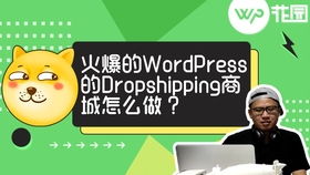 一、 无货源电商的兴起及其特点