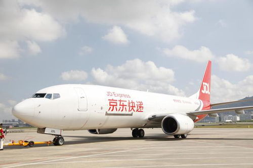 货代的服务具有显著的灵活性和综合性