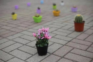 1. 创意制作缺乏吸引力