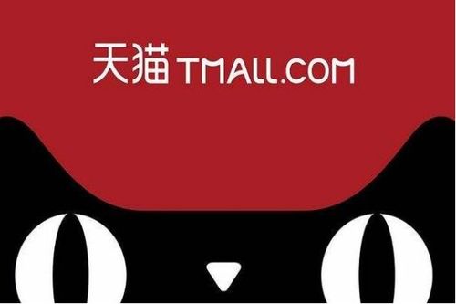 一、 天猫上门安装服务概述