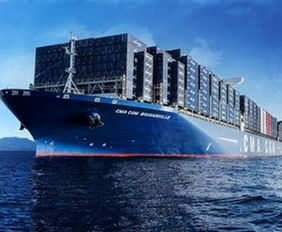 快速转运Neng力：现代化集装箱船与信息技术系统助力