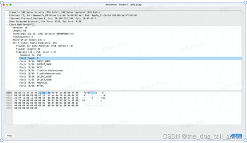 测试与注意事项