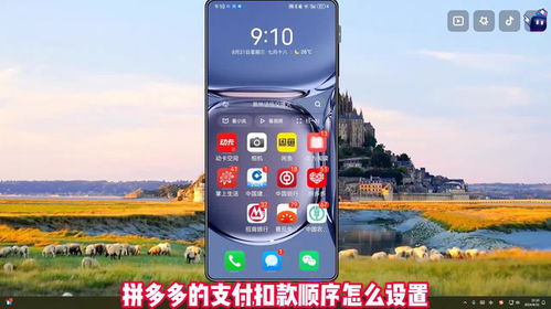 二、拼多多扣款顺序怎么设置？