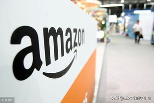 二、 平台规模大：市场的领航者