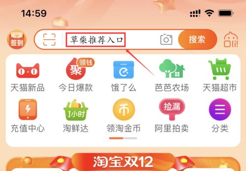 淘宝双12报名流程概述