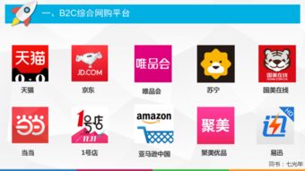 四、 B2C跨境电商模式类型