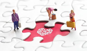 二、 拼多多商家基础分流概述