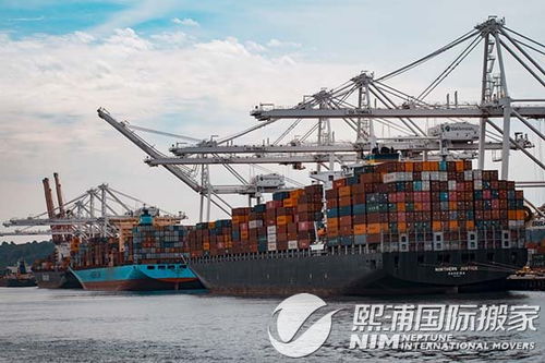 共同海损与单独海损：不可抗力与特定风险的差异化赔付