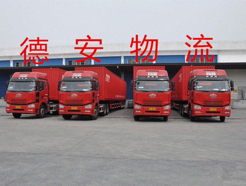 专业跨境物流服务矩阵