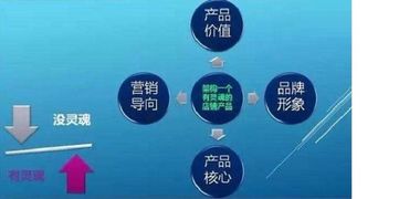 三、淘宝的运营模式及流程