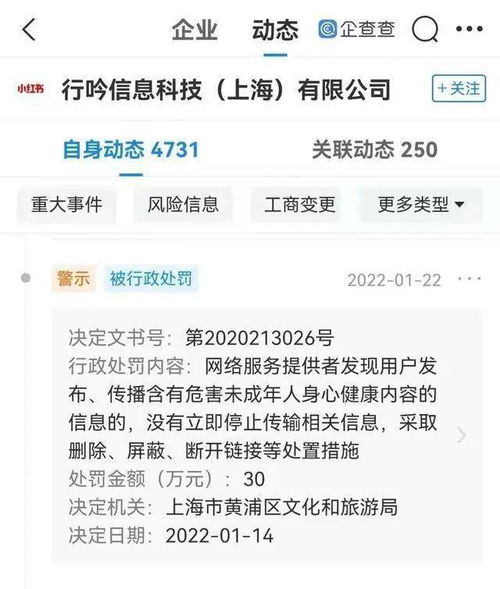 一、举报审核时间概述