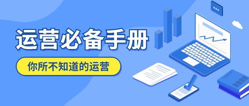 三、 直通车养分的技巧与策略