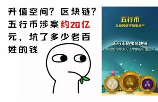 一、 补单现象的普遍性与重要性