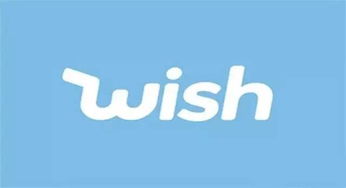 三、知识产权保护原则