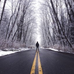 二、细节——光影与构图的完美融合